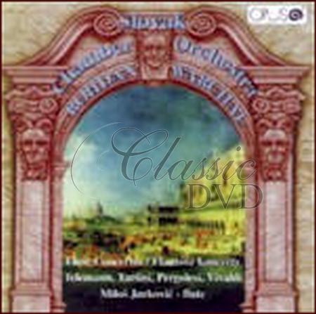 FLUTE CONCERTOS (CD)