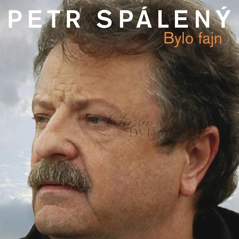 PETR SPÁLENÝ Bylo fajn 20 originálních hitů 1969-2008 (CD)