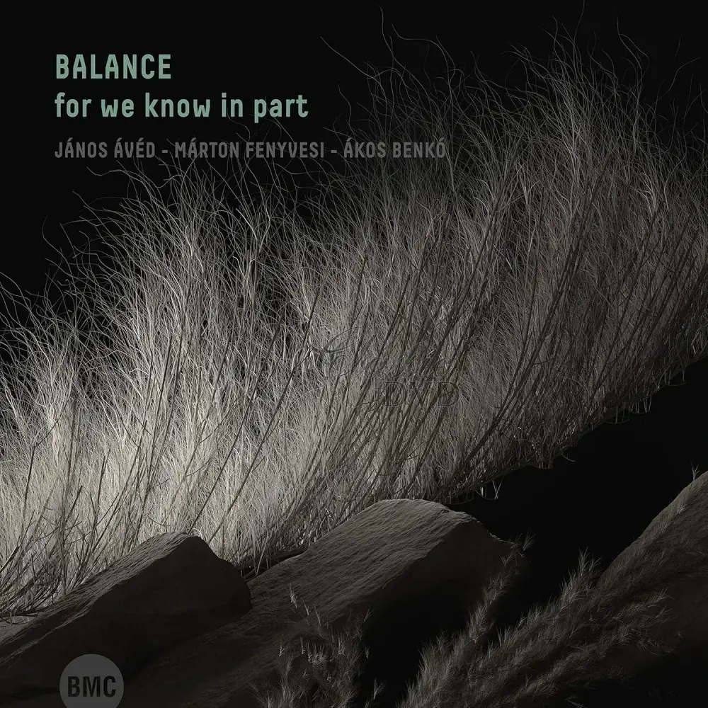 Balance Trio - For We Know In Part (CD)