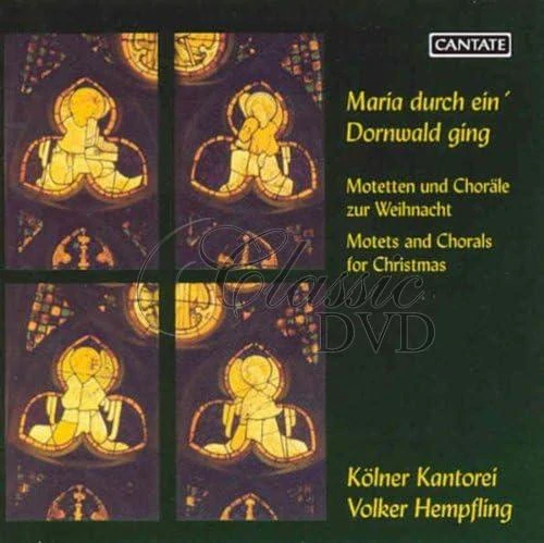 Maria durch ein' Dornwald ging - Motetten zur Weihnacht (CD)