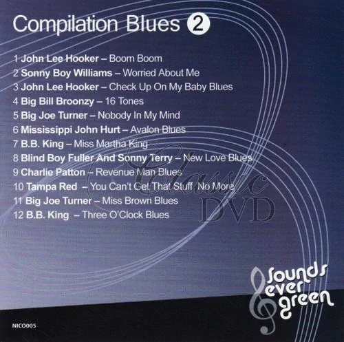 BLUES: The Best Of - To nejlepší z Bluesu Vol.2 (CD)
