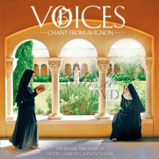 The Benedictine Nuns Of... - Voices: Chant From Avignon (CD)