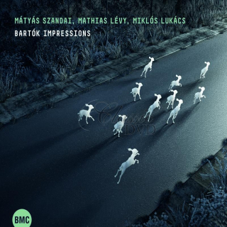 Mátyás Szandai, Mathias Lévy, Miklós Lukács - Bartók Impressions (CD)
