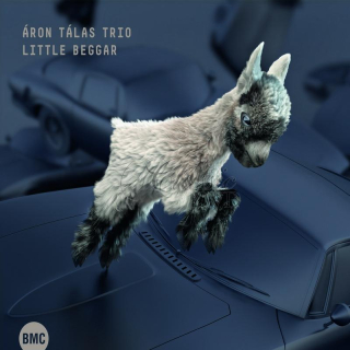 Áron Tálas Trio - Little Beggar (CD)