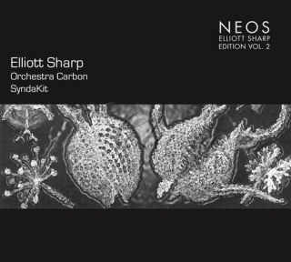 Sharp, Elliott - SyndaKit (CD)