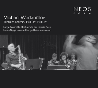 Michael Wertmüller - Terrain! Terrain! Pull Up! Pull Up! (CD)