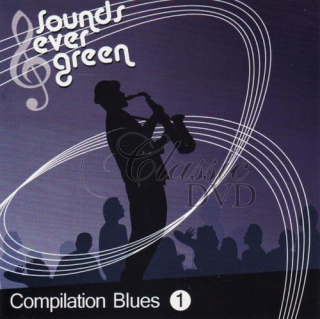 BLUES: The Best Of - To nejlepší z Bluesu Vol.1 (CD)