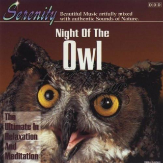 RELAXAČNÍ HUDBA: Night of the Owl (CD)