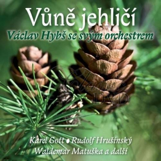 VÁCLAV HYBŠ - Vůně jehličí (CD)