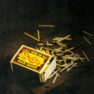 BRATŘI EBENOVÉ - Malé písně do tmy (CD)