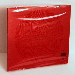 AKVARIUM & Boris Grebenščikov: 21-j vek (CD)