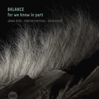 Balance Trio - For We Know In Part (CD)