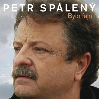 PETR SPÁLENÝ Bylo fajn 20 originálních hitů 1969-2008 (CD)